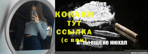 шишки Белоозёрский