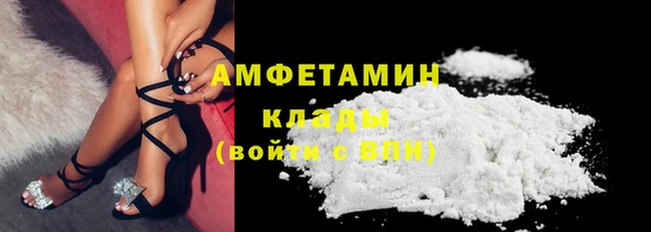шишки Белоозёрский