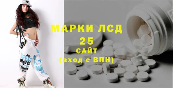 шишки Белоозёрский