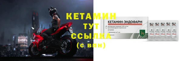 шишки Белоозёрский