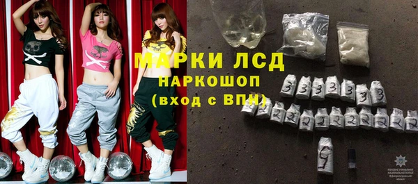 шишки Белоозёрский