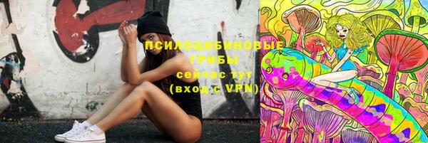 шишки Белоозёрский