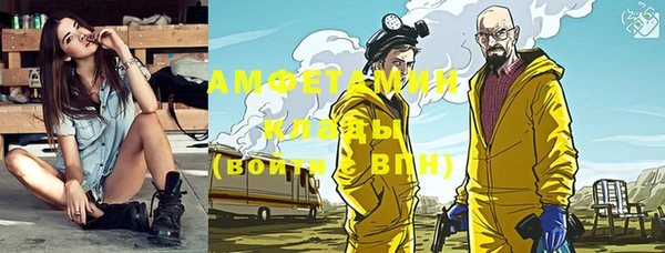 шишки Белоозёрский
