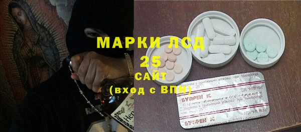 шишки Белоозёрский