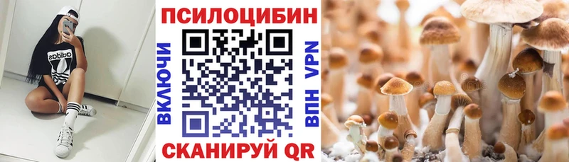 Псилоцибиновые грибы Psilocybe  Тырныауз 