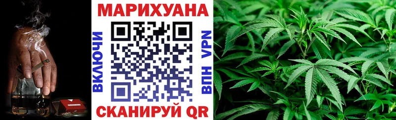 Канабис гибрид  Тырныауз 